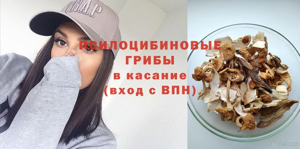 мет Каменногорск