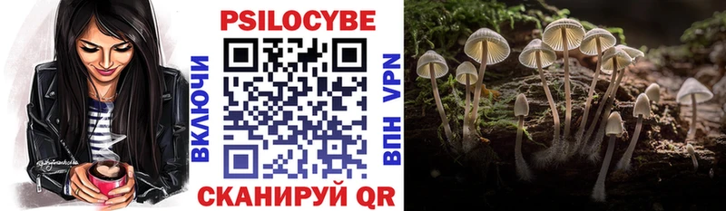 Псилоцибиновые грибы GOLDEN TEACHER  Купить  Кашин 